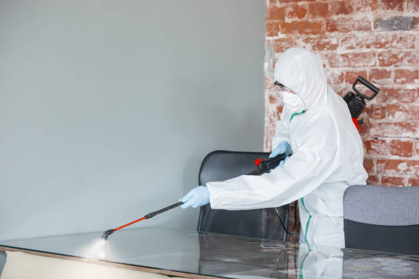 Best Mold Prevention Services in Gberts, IL